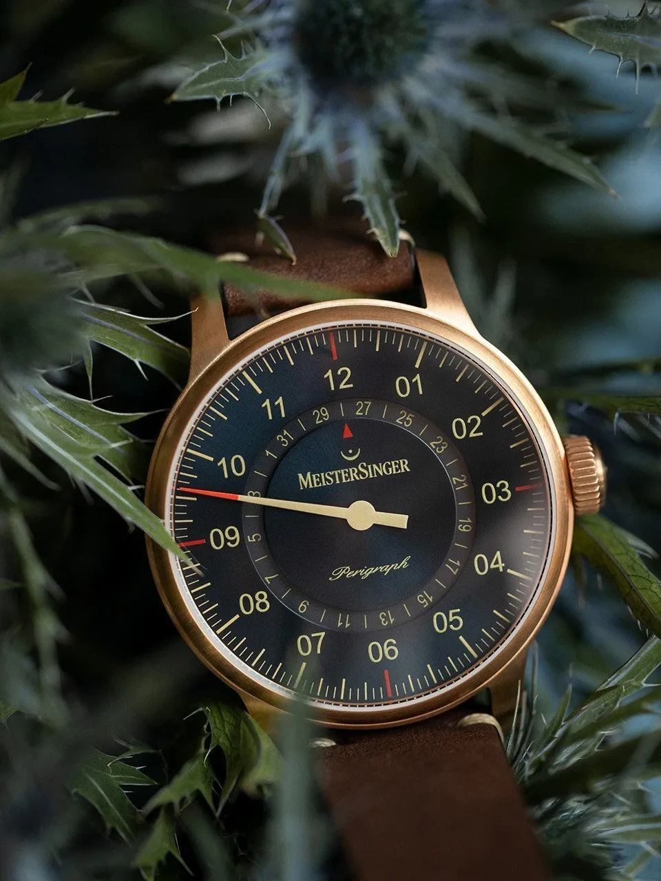 MS Watch Perigraph Bronze Line